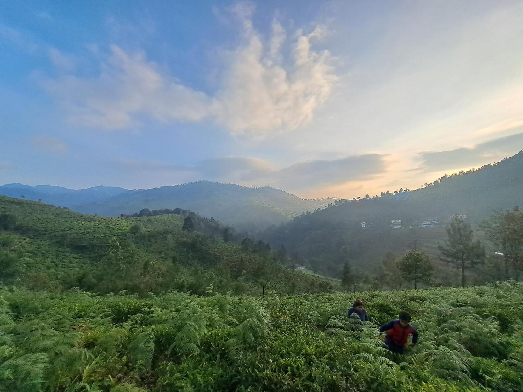 Ghar - Homestay, Where Family Lives Together Aravankadu Экстерьер фото