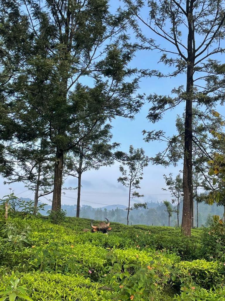 Ghar - Homestay, Where Family Lives Together Aravankadu Экстерьер фото