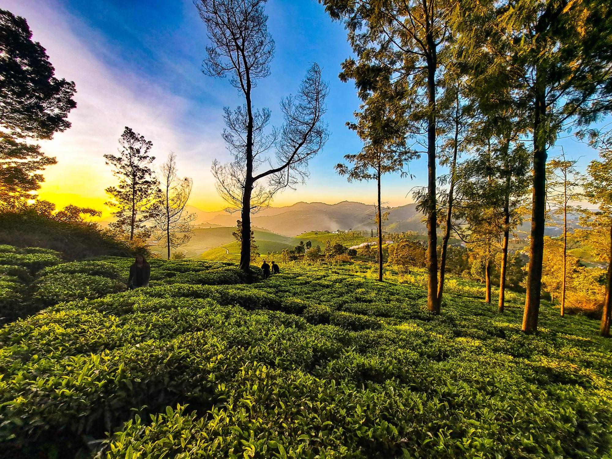 Ghar - Homestay, Where Family Lives Together Aravankadu Экстерьер фото